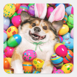 Sticker Carré Chien allongé sur des œufs de Pâques