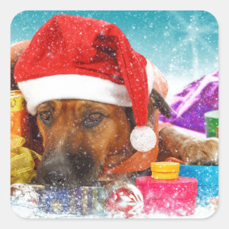 Sticker Carré Chien attend Noël