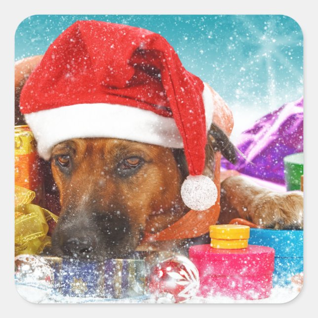 Sticker Carré Chien attend Noël (Devant)