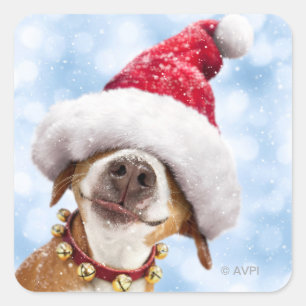 Sticker Carré Chien avec grand chapeau de Père Noël