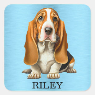 Sticker Carré Chien, Basset Hound Portrait Modèle