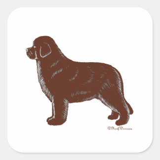 Sticker Carré Chien Brown de Terre-Neuve