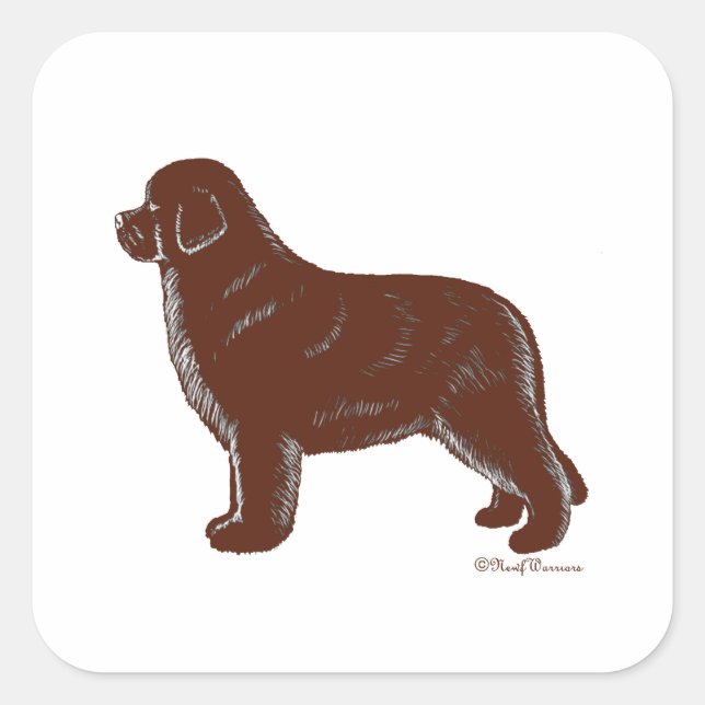 Sticker Carré Chien Brown de Terre-Neuve (Devant)