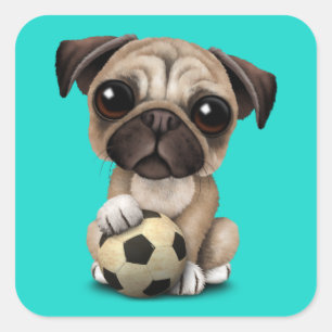 Sticker Carré Chien Chien Chien Carlin Avec Football Ball