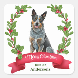 Sticker Carré Chien de bétail australien Holly Banner Noël