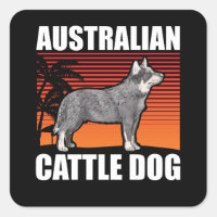 Chien de bétail australien | Propriétaire de chien
