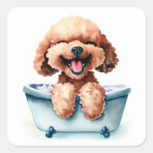 Sticker Carré Chien de caniche