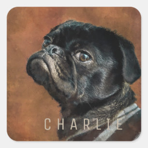 Sticker Carré Chien de Carlin noir