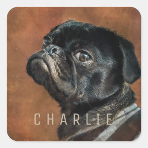 Sticker Carré Chien de Carlin noir personnalisé