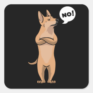 Sticker Carré Chien de Carolina têtu