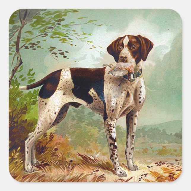 Sticker Carré Chien de chasse avec oiseau dans la bouche (Devant)