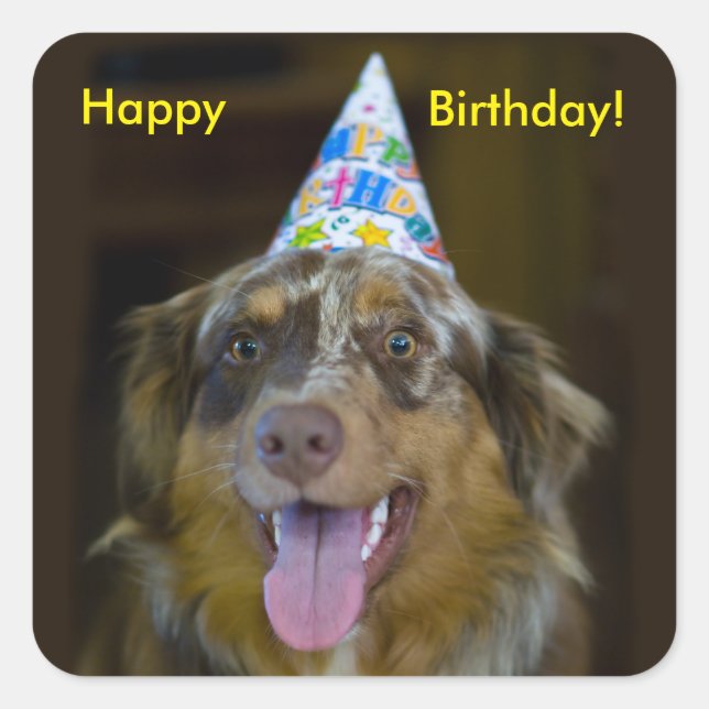 Sticker Carré Chien de fête d'anniversaire du berger australien (Devant)