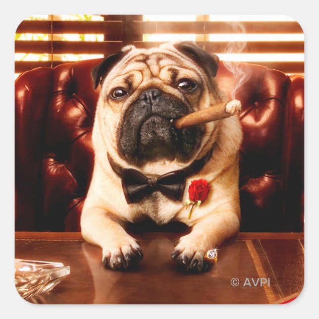 Sticker Carré Chien de homard (Devant)