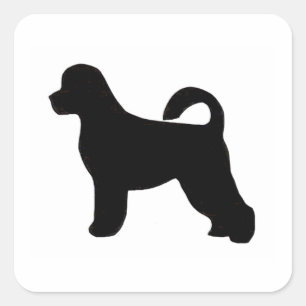 Sticker Carré chien d'eau portugese silhouette.png