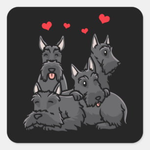Sticker Carré Chien écossais de Terrier Aberdeen Terrier