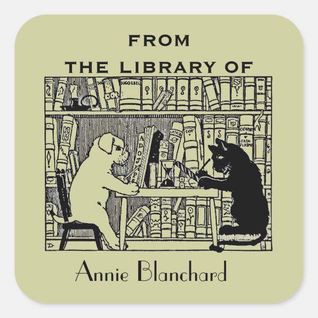 Sticker Carré Chien et chat dans la bibliothèque (Devant)