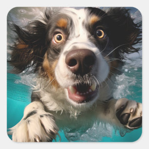 Sticker Carré Chien Excité Nageant Sous L'eau Design
