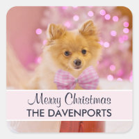 Chien mignon avec cabot rose Joyeux Noël Photo