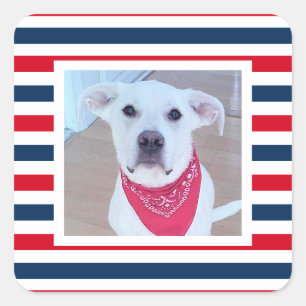 Sticker Carré Chien mignon Rouge Blanc Bleu Bleu Rayures Patriot