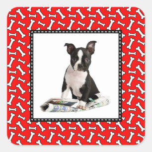 Sticker Carré Chien Os Noël Cadre photo rouge pour animal de com