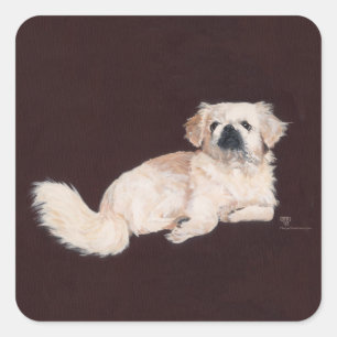 Sticker Carré Chien pekingese blanc
