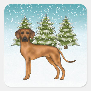 Sticker Carré Chien Rhodesian Ridgeback Lion Chien Neigeux Forêt