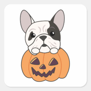 Sticker Carré Chien-taureau En Chiens Citrouilles Cutes Joyeux S