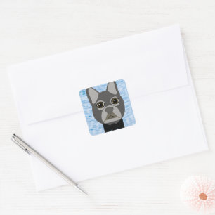 Sticker Carré Chien-taureau français gris, aquarelle bleu