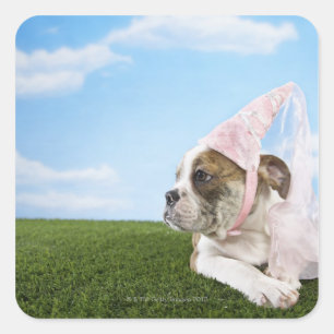 Sticker Carré Chien taureau princesse chienne