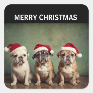 Sticker Carré Chiens de Noël joyeux