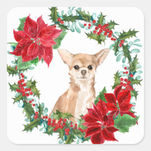 Sticker Carré Chihuahua Chien Poinsettia couronne de Noël