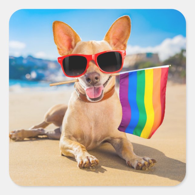 Sticker Carré Chihuahua Dog à la plage (Devant)