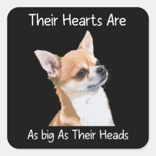 Sticker Carré Chihuahua Leurs Coeurs Sont Aussi Grands Que Leurs