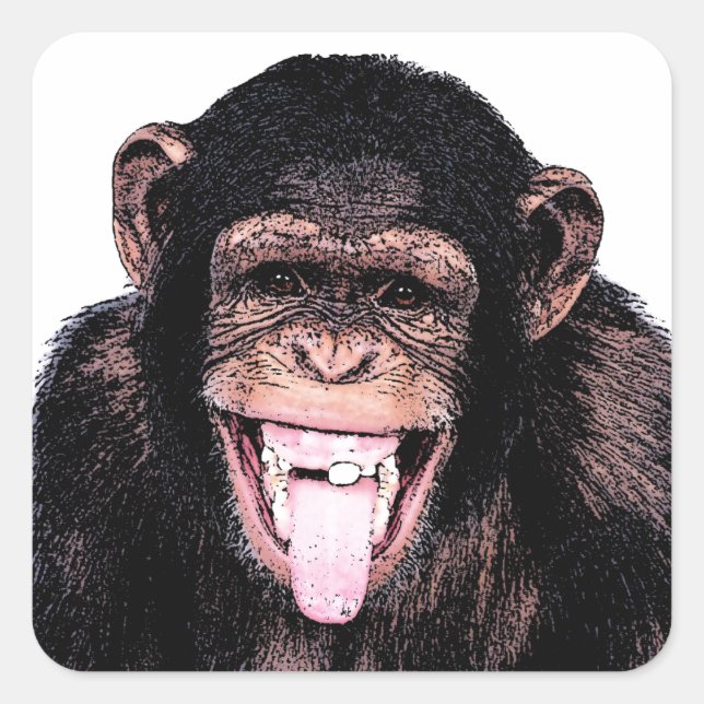 Sticker Carré Chimpanzé (Devant)