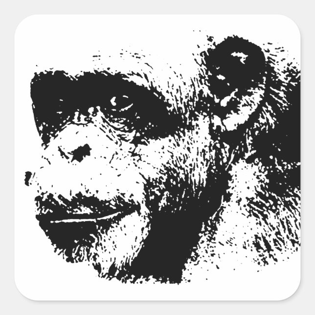 Sticker Carré Chimpanzé noir et blanc (Devant)