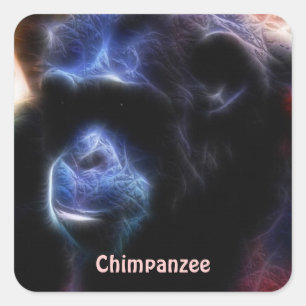Sticker Carré Chimpanzés Africains en voie de disparition Sticke