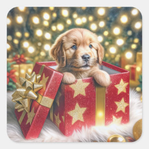 Sticker Carré Chiot d'or rétriever dans la boîte de Noël