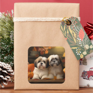 Sticker Carré Chiots Lhasa Apso Délice d'Automne Citrouille