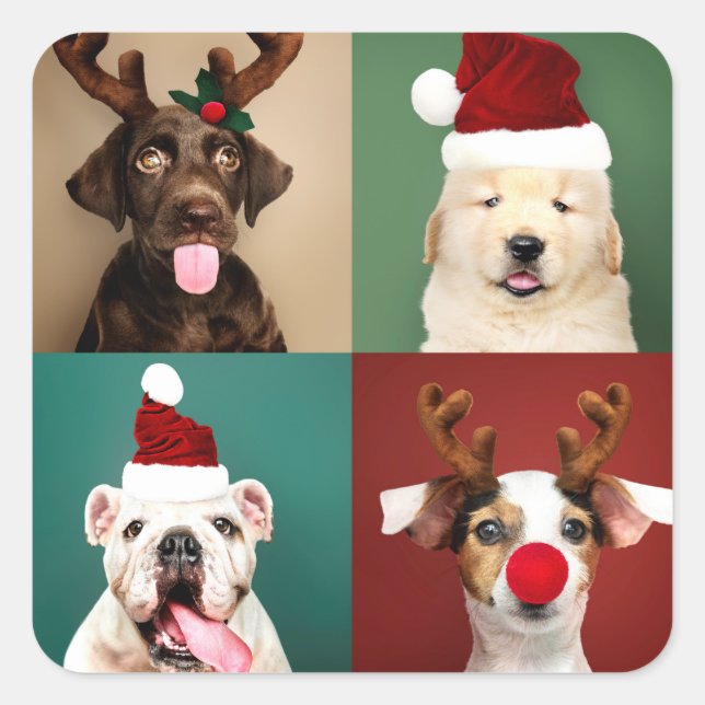 Sticker Carré Chiots Père Noël Reindeer de Noël sur mesure (Devant)