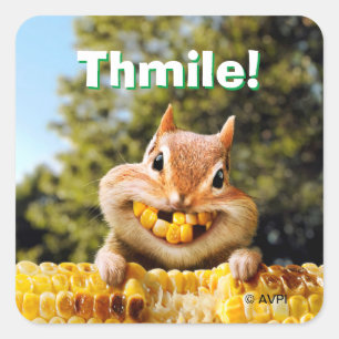 Sticker Carré Chipmunk Mating Corn