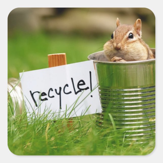 Sticker Carré Chipmunk Recyclage mignon (Devant)