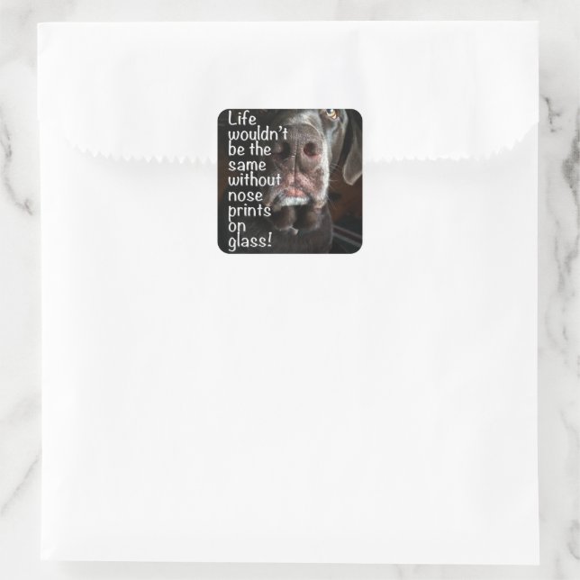 Sticker Carré Chocolat Lab Nez Fermer la photo (Sac)