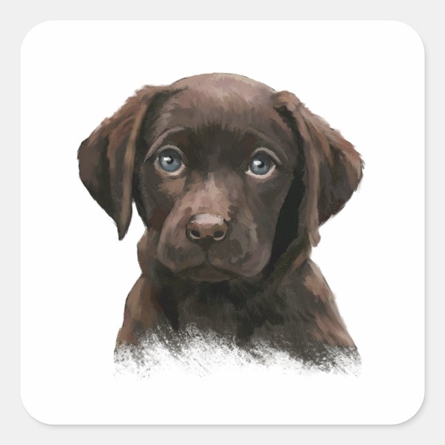 Sticker Carré Chocolat Labrador (Devant)