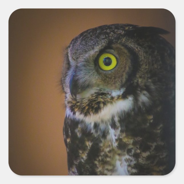 Sticker Carré chouette (Devant)