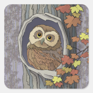Sticker Carré Chouette d'automne et     couleurs d'automneSticke