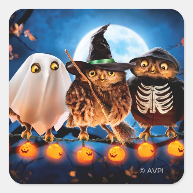 Sticker Carré Chouette d'Halloween (Devant)
