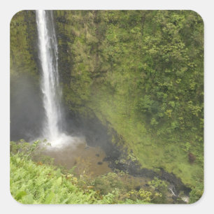 Sticker Carré Chutes Akaka, côte Hamakua, île d'Hawaï,