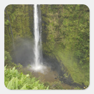Sticker Carré Chutes d'Akaka, côte d'Hamakua, île d'Hawaii,
