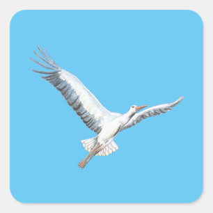 Sticker Carré cigogne blanche volant