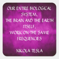 Citation Tesla Sur Purple